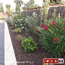 Pouzzolane Lave 8_16 mm 5.webp