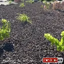 Pouzzolane Lave 16 32 mm 3.webp