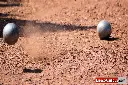schiste a petanque 0_6png.webp