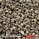 Galet du Rhin 16 _ 32  mm.webp