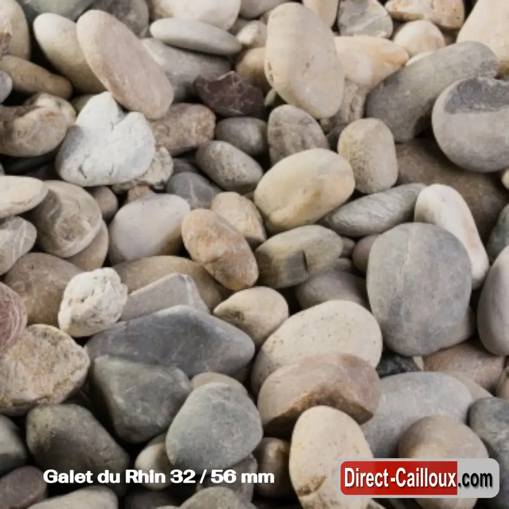 Galet du Rhin  32 _ 56  mm.webp