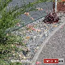 Ardoise Cuivrée Direct-Cailloux.com 4.webp