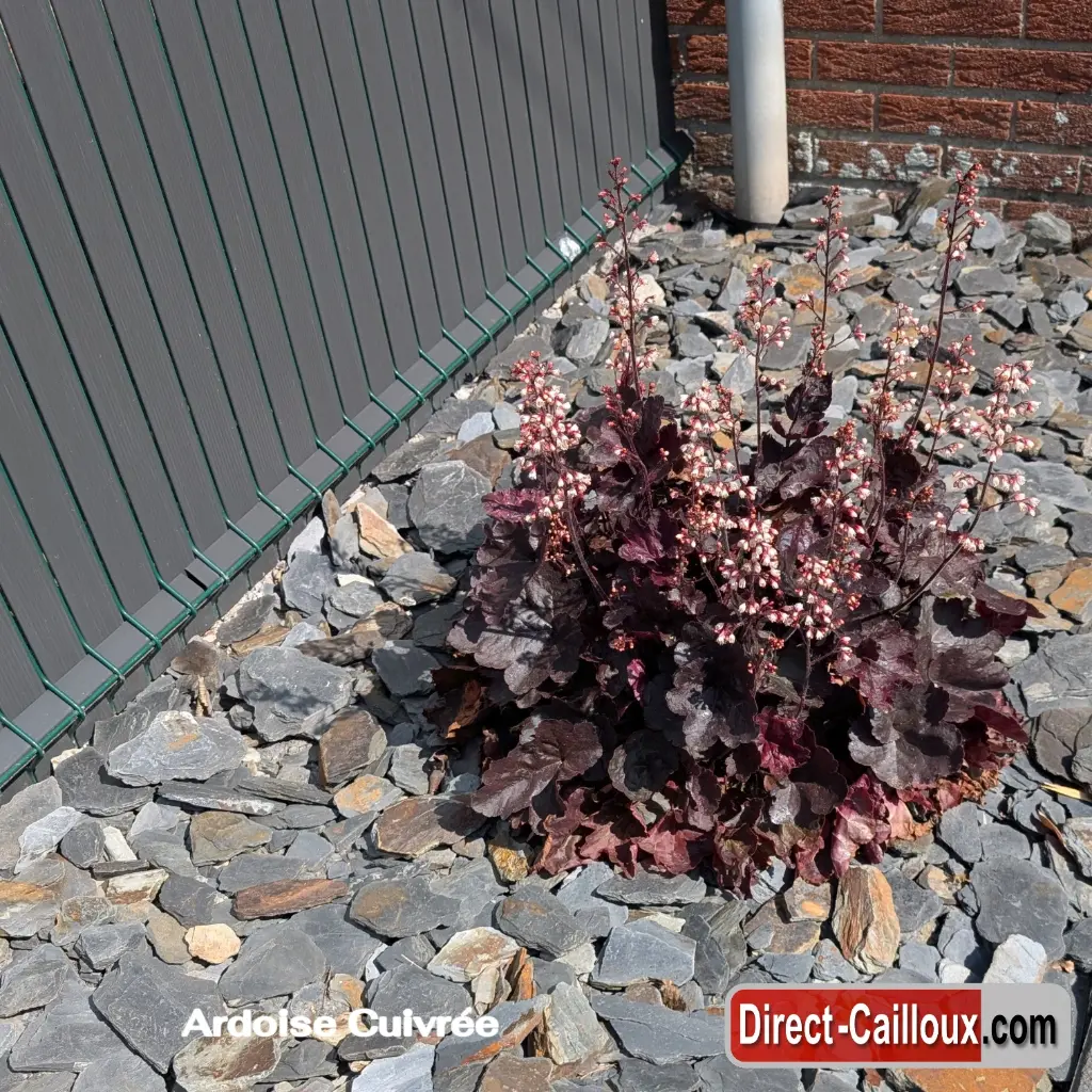 Ardoise Cuivrée Direct-Cailloux.com 2.webp
